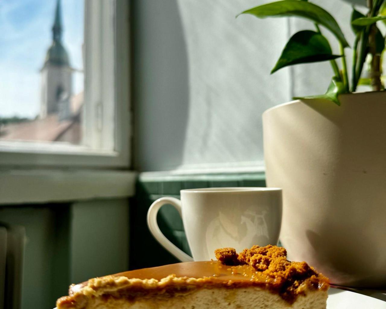Extralarge Queen Room In The Heart Of Bratislava With Terrace Luaran gambar