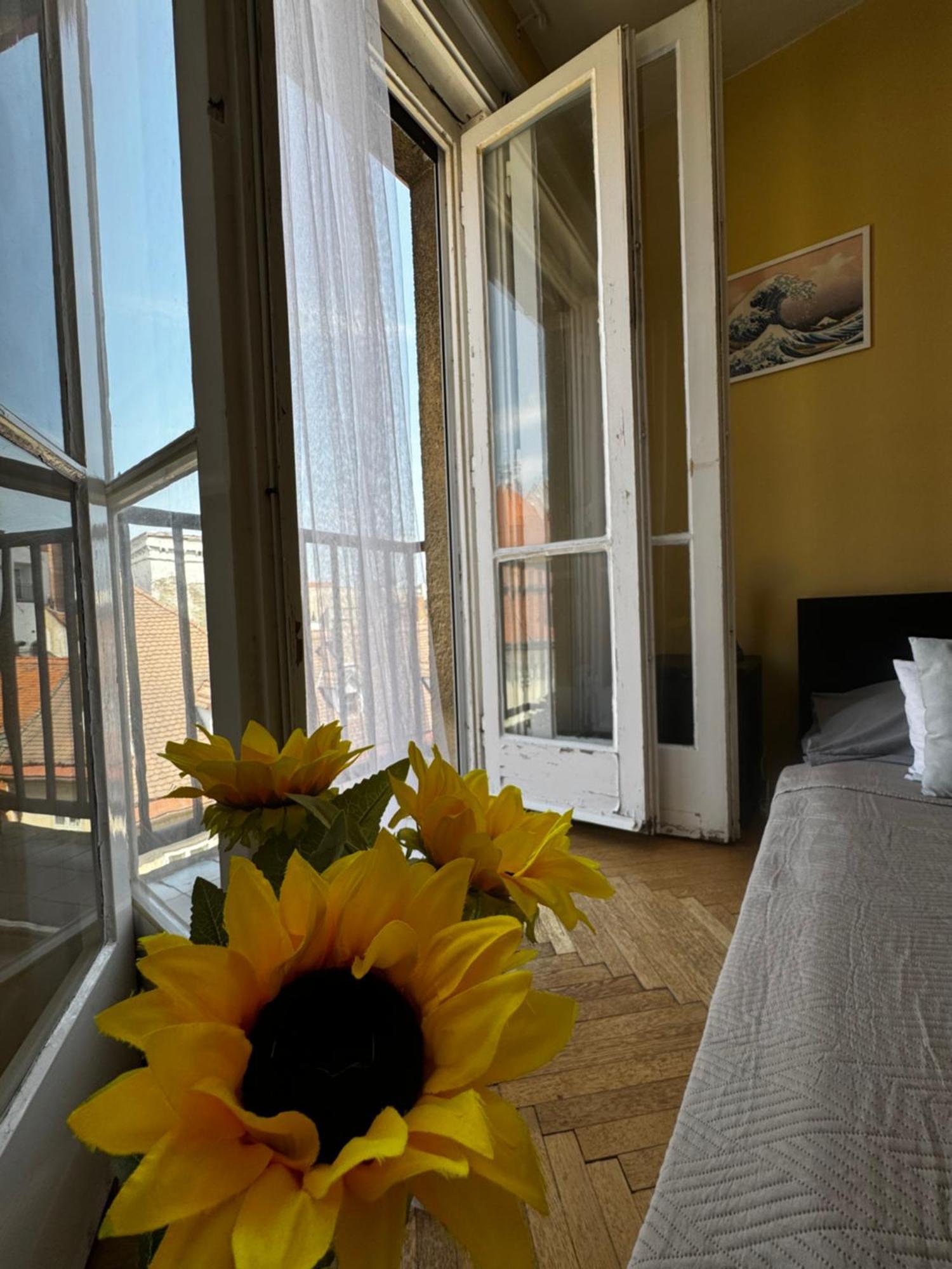 Extralarge Queen Room In The Heart Of Bratislava With Terrace Luaran gambar